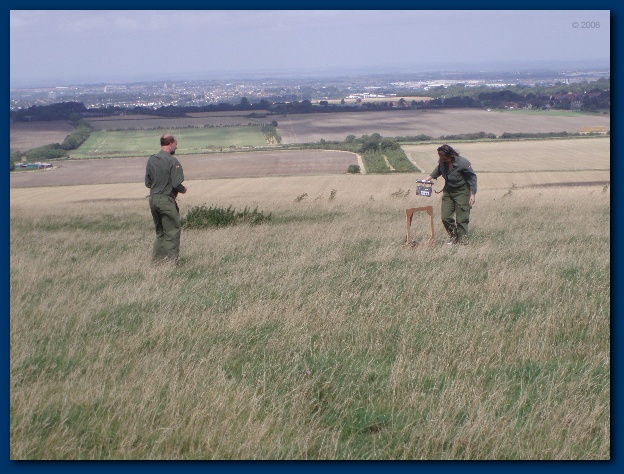 600x449 pixels (137K)